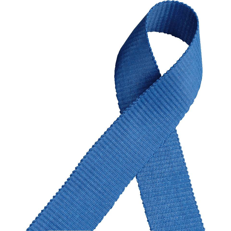 DURABLE Textilband mit Sicherheitsverschluss, blau, 440mm, 20mm, 10/VE-0