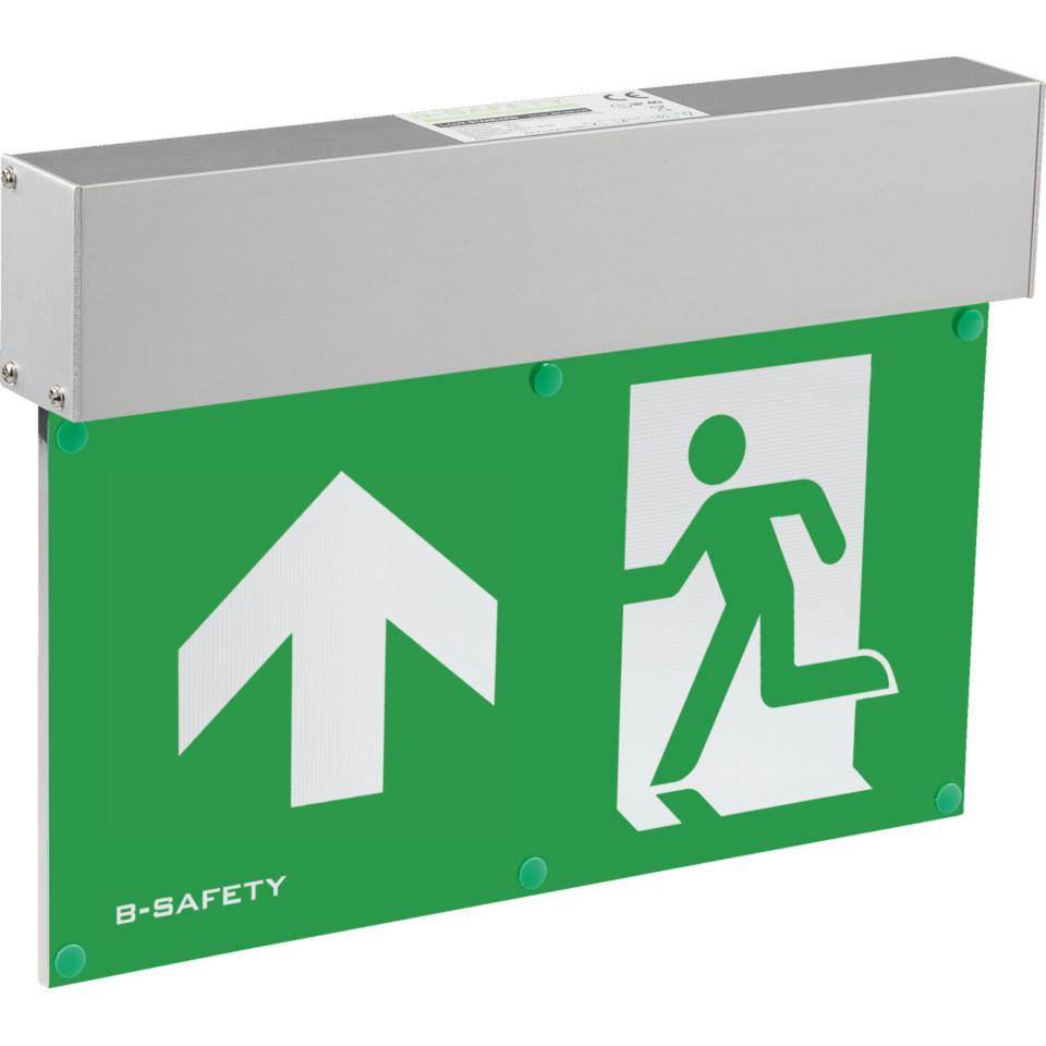 LED-Rettungsleuchte L-Lux, zur Deckenmontage, Dauer- und Bereitschaftsschaltung-2