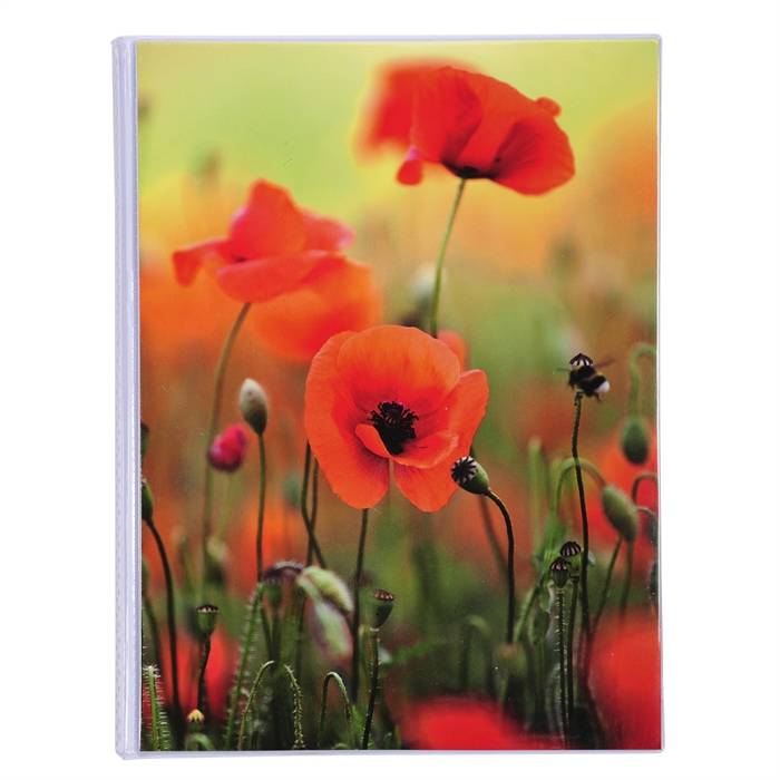 Einsteckalbum Fantaisie 64 Fotos 10x15cm sort. - Format 17,5x23 cm-1