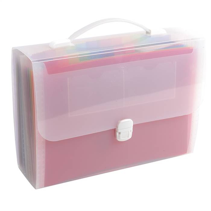 Fächermappe A4 PP 24 Fächer Schnappverschluss transparent/farbig-1