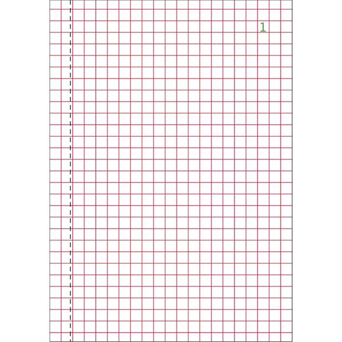 ORDER-BOOK DUPLICATE 148x150 CARBONLESS-2