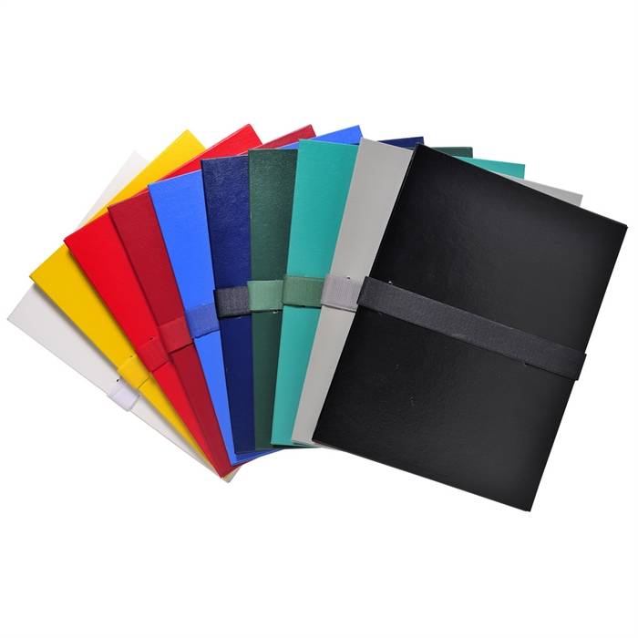 EXACOMPTA Dokumentenmappe mit Klettverschluss, sortiert (8700777)-0