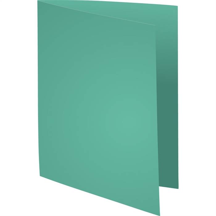 EXACOMPTA Aktendeckel SUPER 160, DIN A4, hellgrün (8702796)-1