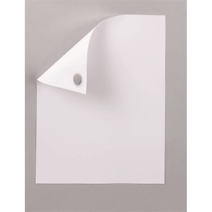 Maul Neodym-Magnet selbstklebend, Ã 10x1 mm, 0,5 kg, 20 St./Set hellgrau-3
