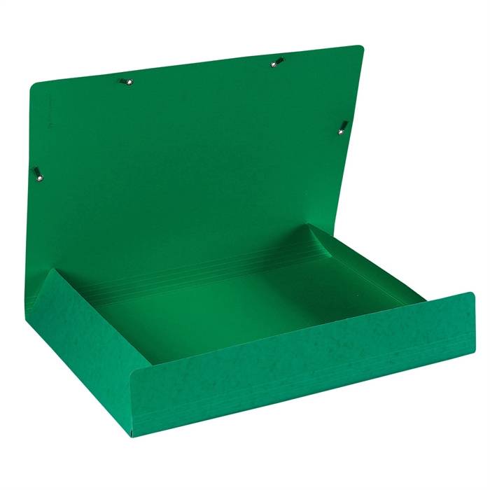 Sammelmappe Nature Future DIN A3 600g Karton grün-1