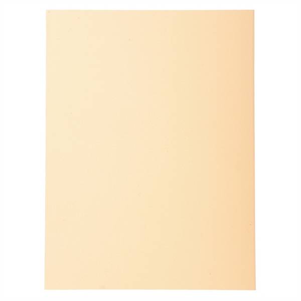 EXACOMPTA Aktendeckel FOREVER 250, DIN A4, chamois (332256500)