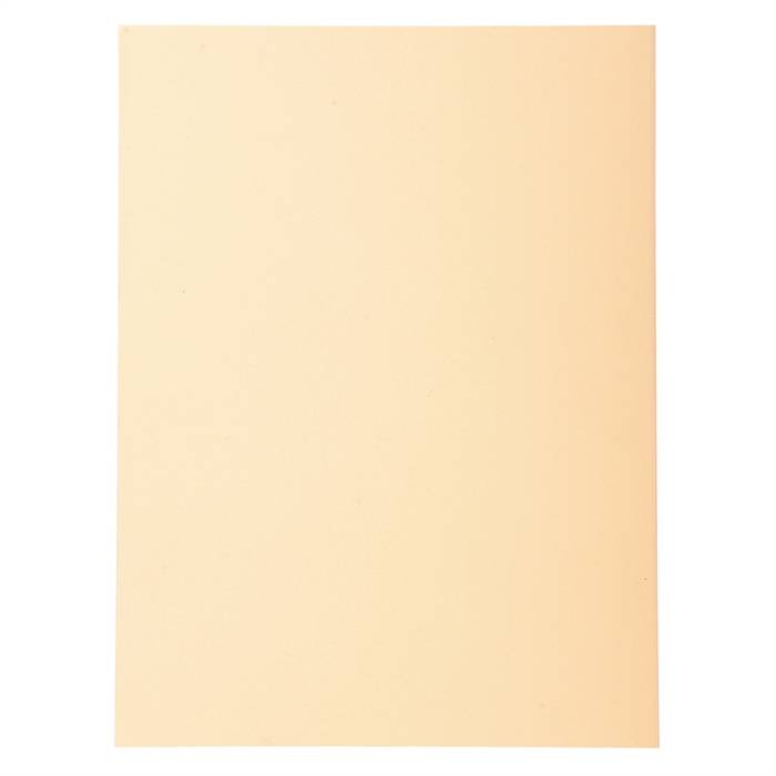 EXACOMPTA Aktendeckel FOREVER 250, DIN A4, chamois (332256500)-0