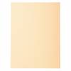 EXACOMPTA Aktendeckel FOREVER 250, DIN A4, chamois (332256500)