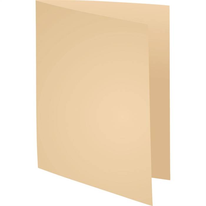 EXACOMPTA Aktendeckel FOREVER 250, DIN A4, chamois (332256500)-1