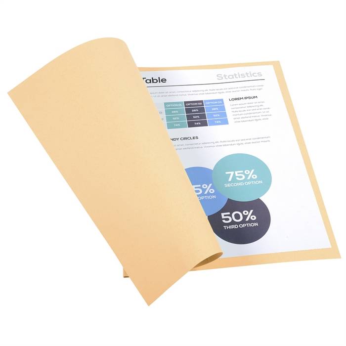 EXACOMPTA Aktendeckel FOREVER 250, DIN A4, chamois (332256500)-2