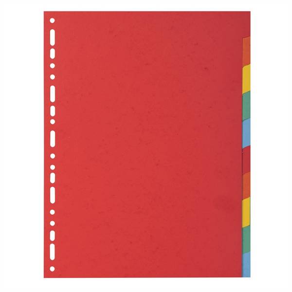 EXACOMPTA Karton-Register, DIN A4, 10-teilig (8702252)