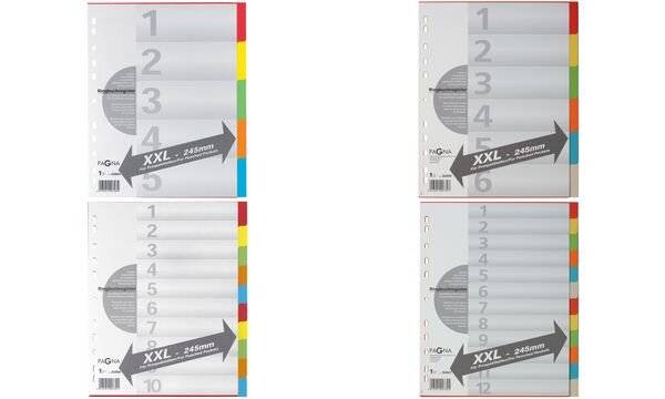 PAGNA Karton-Register, DIN A4, 5-teilig, überbreit (63200420)