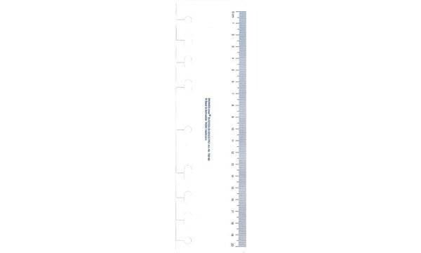 rido idé Kalender-Einlage Lineal, transparent (6250058)-0