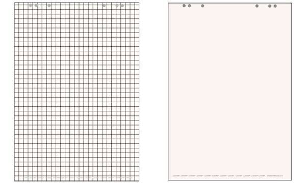 ELBA - Landré - Flipchart-Pad - 680 x 990 mm - 20 Blatt - Einfach - Universallochung (Packung mit 5)-1