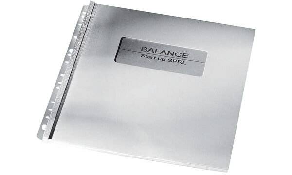 Einhängeheftstreifen Velo/Sure Bind PVC 100 St./Pack. - Artikel: 125038600-0