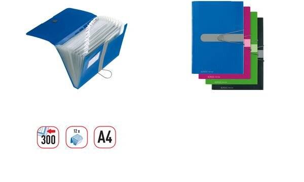 Fächermappe A4 PP 12 Fächer blau to go