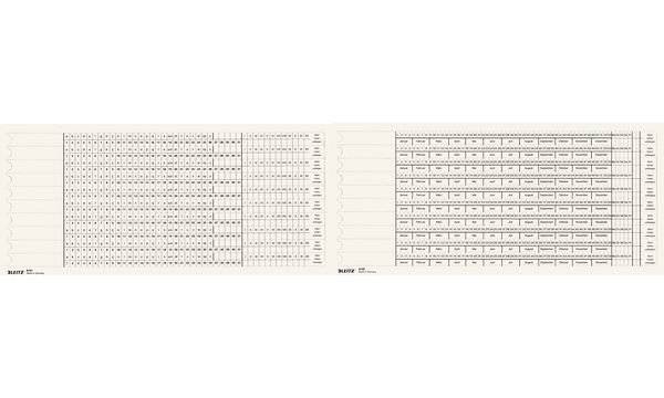LEITZ Organisations-Streifen, Skala 3 / Skala 4, weiß (80616201)-0