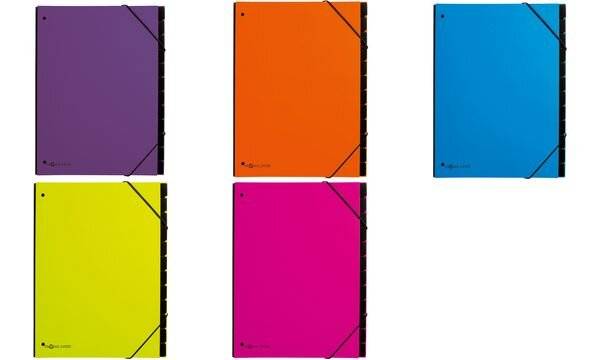 PAGNA Pultordner Trend 24129-09 12Fächer 3Schaulöcher orange