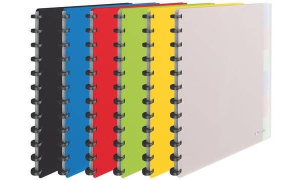 Esselte Sichtbuch VIVIDA, A4, mit 25 Sichthüllen, sortiert-1