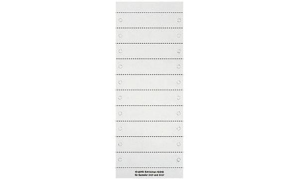 LEITZ Blanko-Beschriftungsschildchen für Stehsammler 2427-1