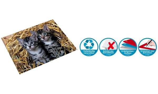 Schreibunterlage Motiv-Poster 40x53 cm Katzen im Stroh