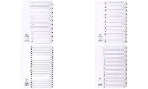 EXACOMPTA Karton-Register 1-10, DIN A4, weiß, 10-teilig (8701735)