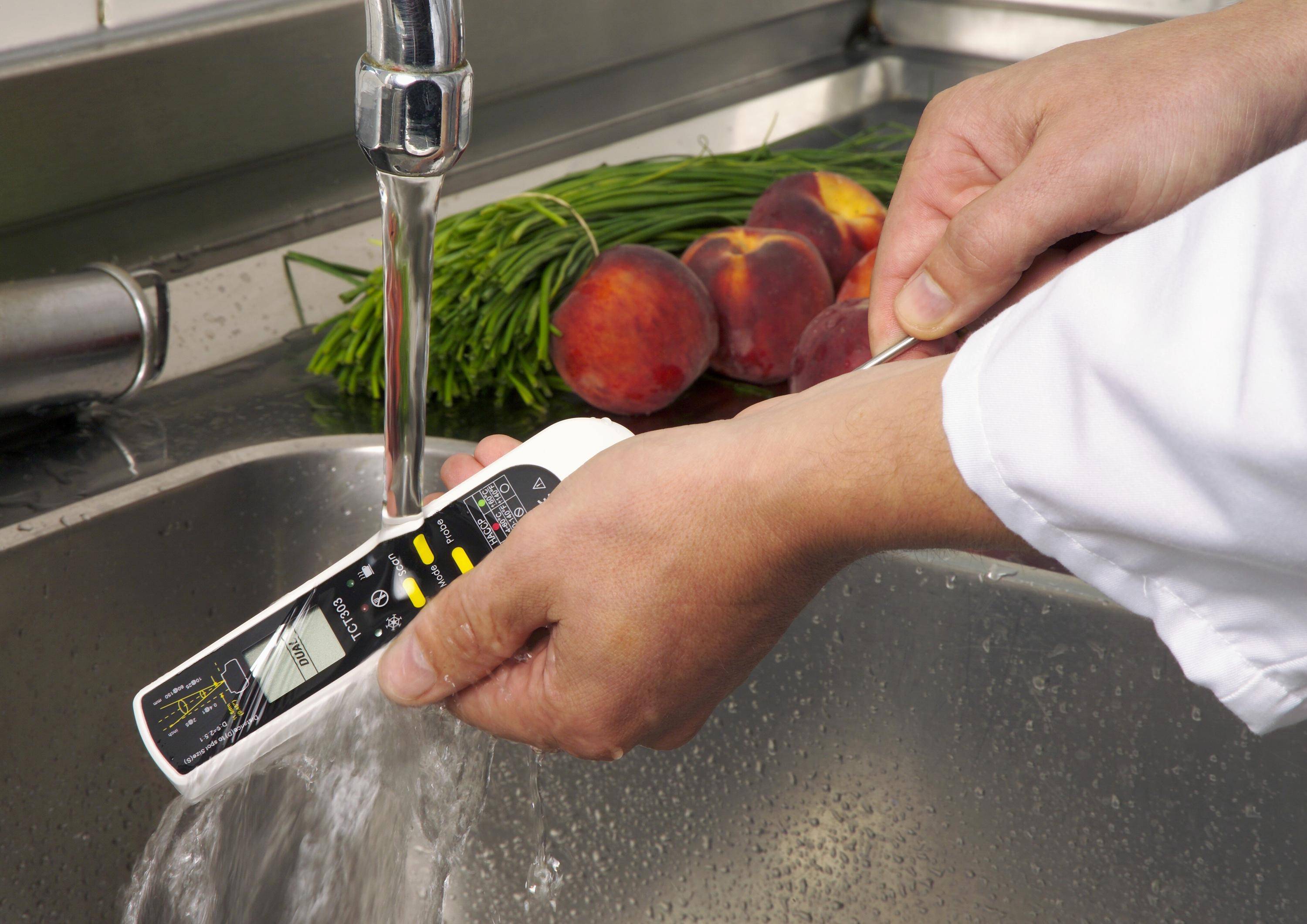 DualTemp Pro Einstech-Infrarot-Thermometer HACCP / EN 13485-2