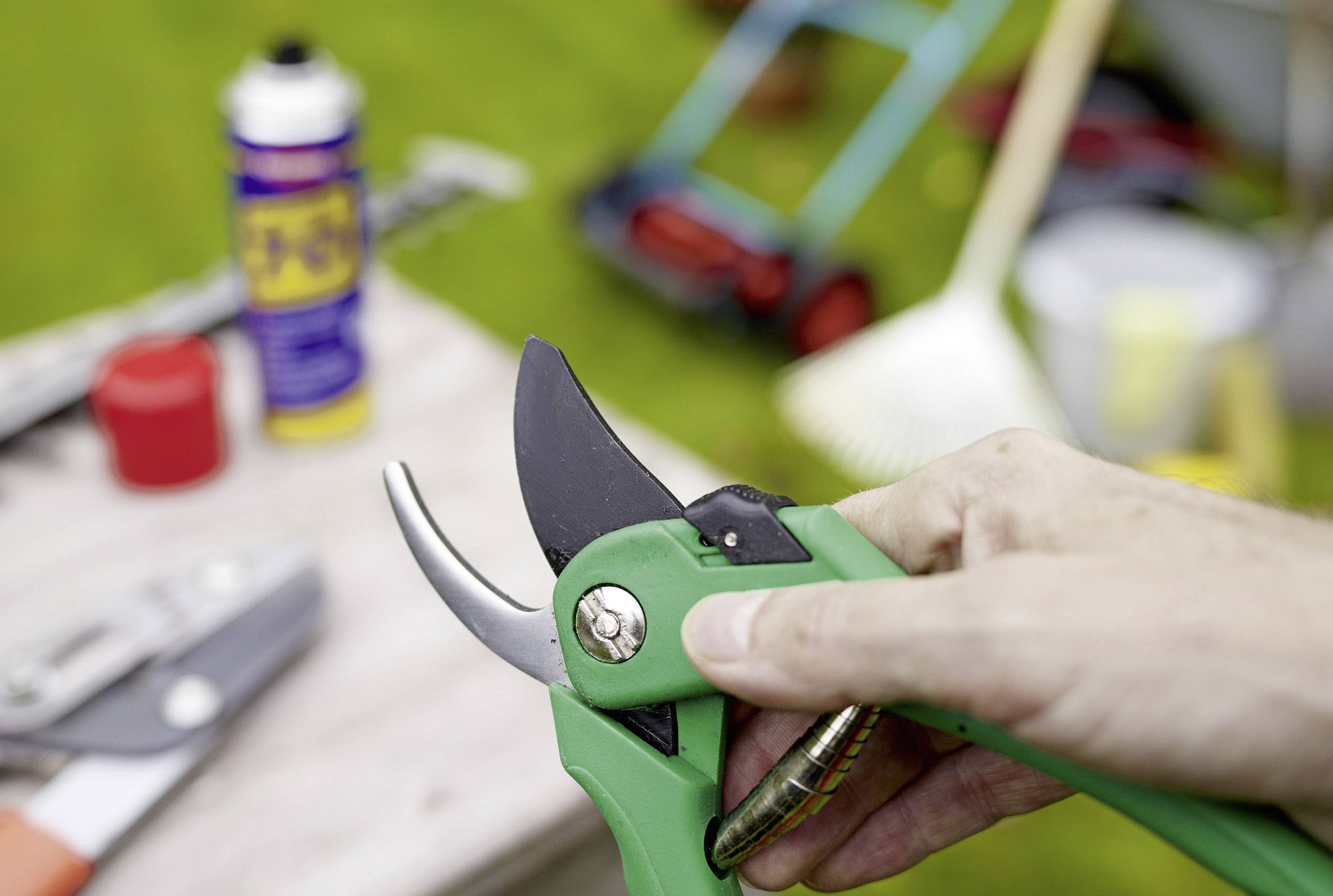 Eine Hand hält eine grüne Gartenschere. Im Hintergrund unscharf: Gartengeräte und Rasenpflegeprodukte auf einem Holztisch.