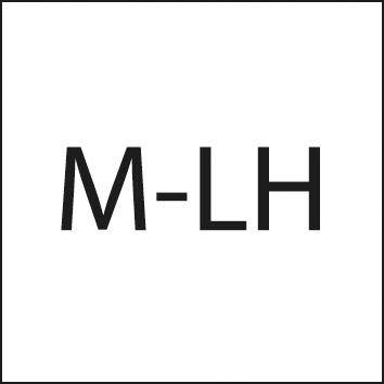 Schneideisen EN22568 HSS Links M4 FORMAT-1