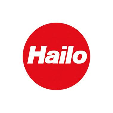 Hailo Abfallbox Big-Box Swing XL 6460-312 52Liter silber-2