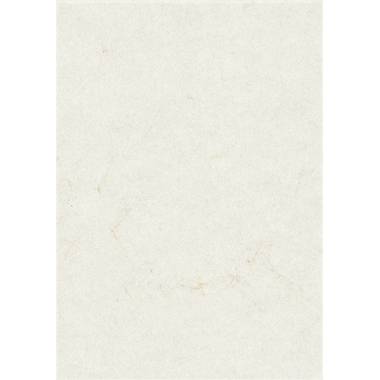 Zanders Elefantenhaut 88001576 DIN A4 weiß 100 Bl./Pack.-2