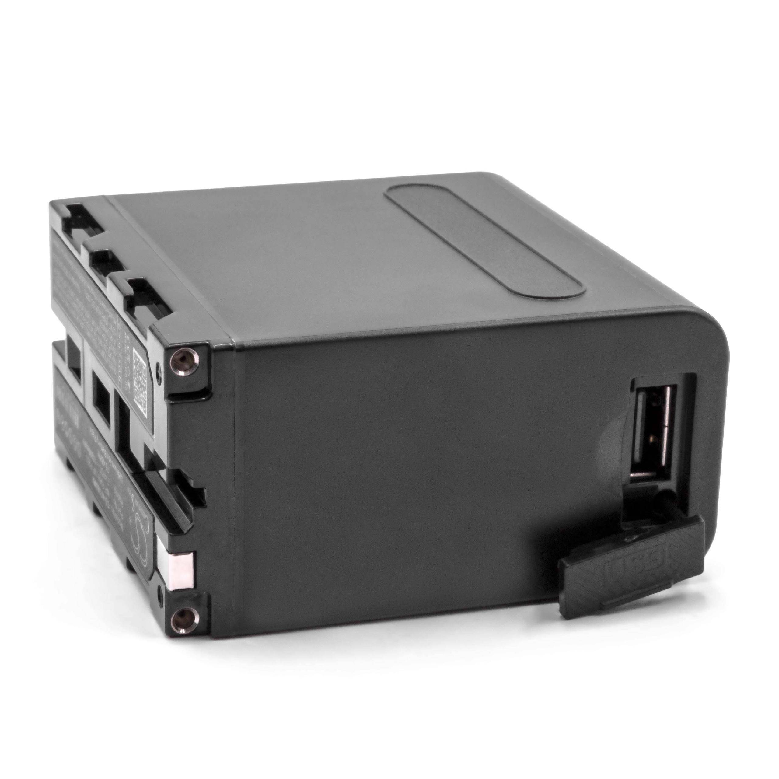 vhbw Akku kompatibel mit Panasonic NV-DS5EG | NV-DX110, NV-DX100EG, NV-DX1 Videokamera Camcorder (10200 mAh, 7,4 V-1