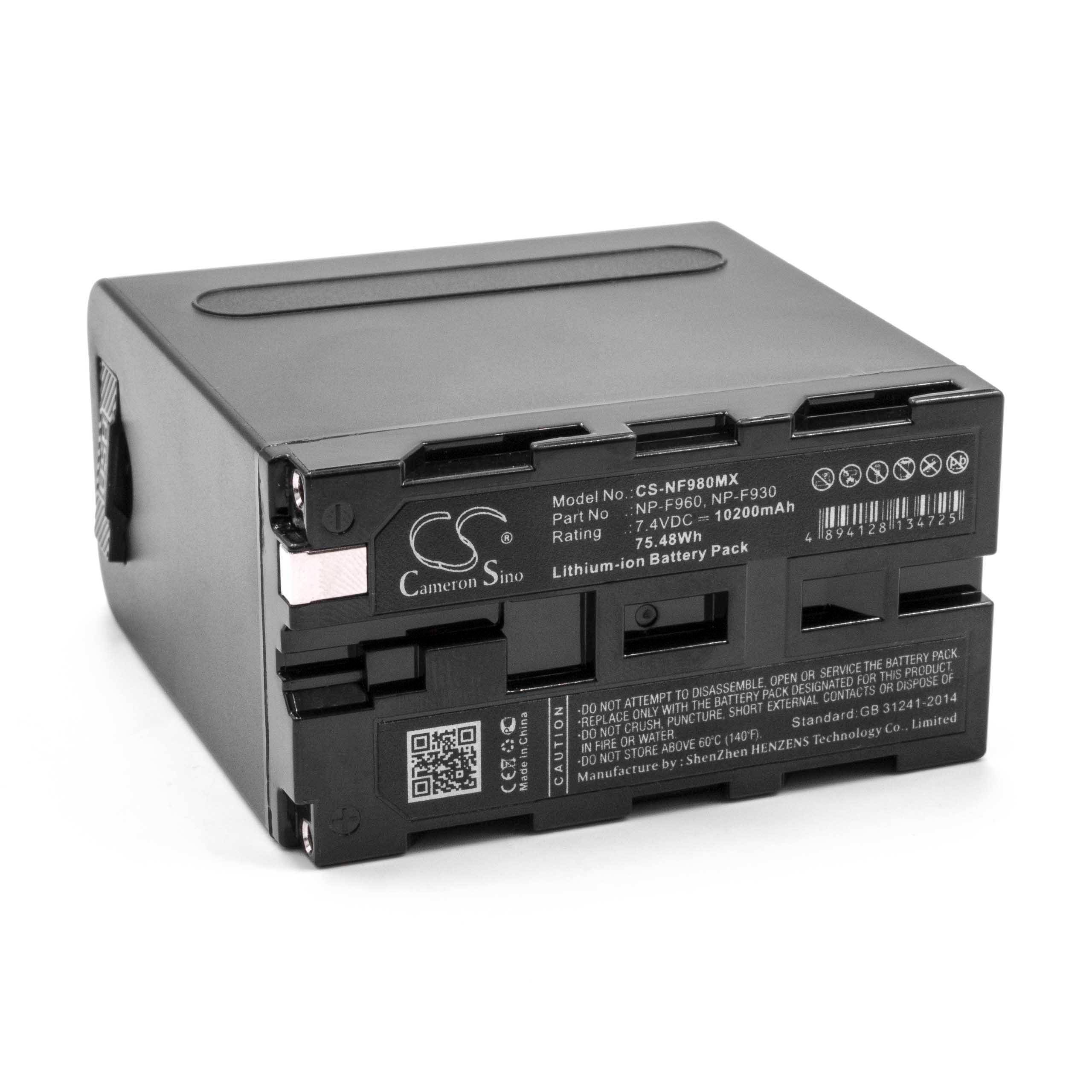 vhbw Akku kompatibel mit Panasonic NV-DS5EG | NV-DX110, NV-DX100EG, NV-DX1 Videokamera Camcorder (10200 mAh, 7,4 V-2