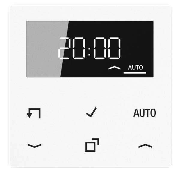 Jung Timer Standard, Display A 1750 D WW-0