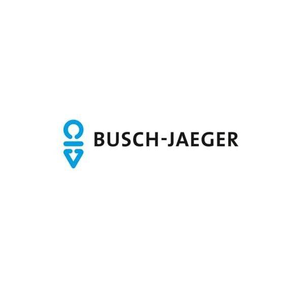 Busch-Jaeger Tastersymbol 2525-13-0