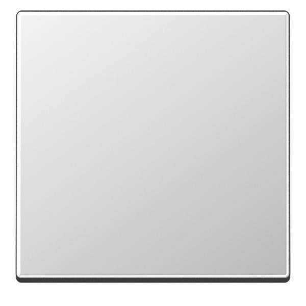 Jung Steuertaste Standard A 1700 AL-0
