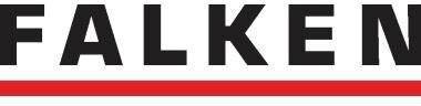 Falken Pendelhefter 80000995 A4 Behördenheftung RC Karton gn-4