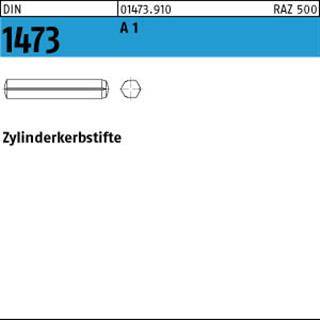 Zylinderkerbstift DIN 1473 2x 10 A 1 100 Stück-0