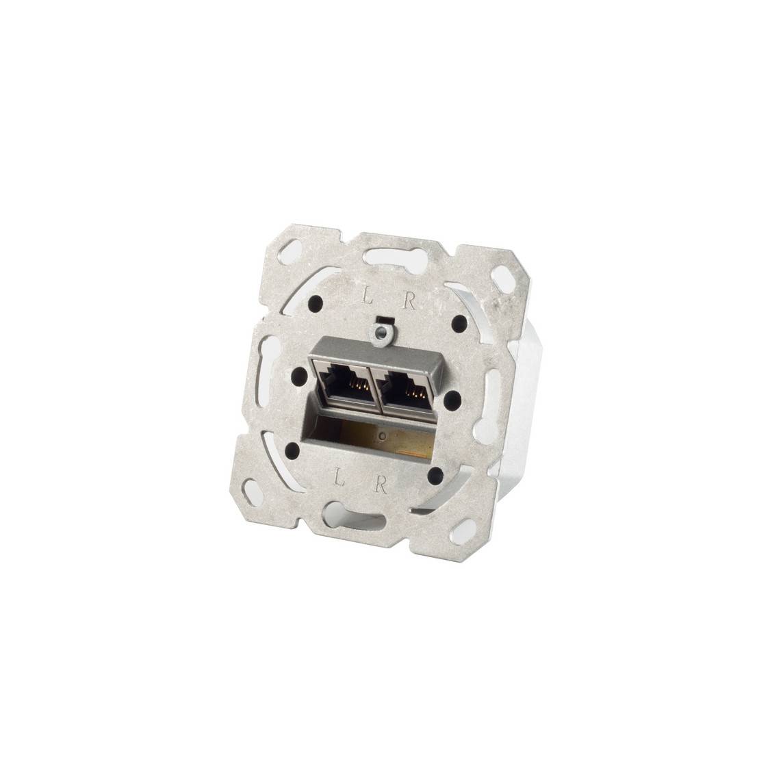 cat.6A Netzwerkdose 2-Fach designfähig-0