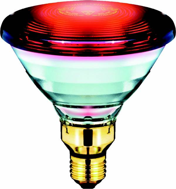 12 Stk. Philips Lighting Infrarotlampe PAR38