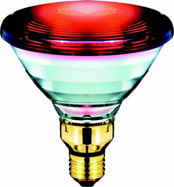 12 Stk. Philips Lighting Infrarotlampe PAR38