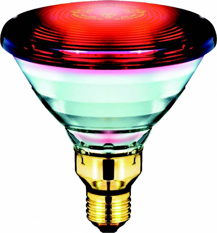 12 Stk. Philips Lighting Infrarotlampe PAR38-0