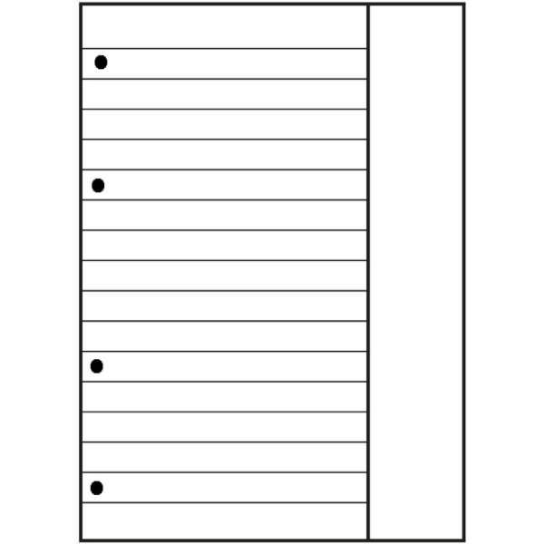 Ringbucheinlagen A4 90g/qm 50 Blatt Lineatur 25 Scribzee kompatibel-1