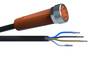 Sensorleitung M8 4P PUR 10m IP69K - 10 m - PUR-Kabel - AA021 - autosen