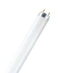 NATURA T8 L 36W/76 G13-0