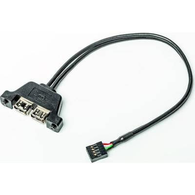 ASROCK Deskmini 2XUSB2.0 Cable