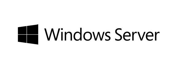 FUJITSU - Microsoft Windows Server 2019 - Lizenz - 100 Benutzer-CALs-1