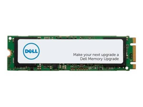 Dell - SSD - 256 GB - intern - M.2 2280 - SATA