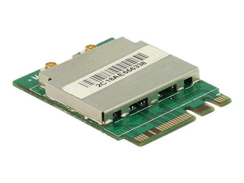 DeLock Module M.2 Key A+E male > WLAN 11ac/a/b/g/n + Bluetooth 4.0-0