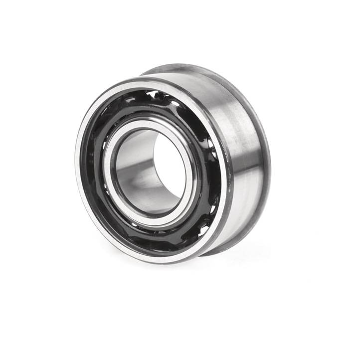 SCHKG 3310 ANR ID 50mm AD 110mm Breite44,4mm SKF-0